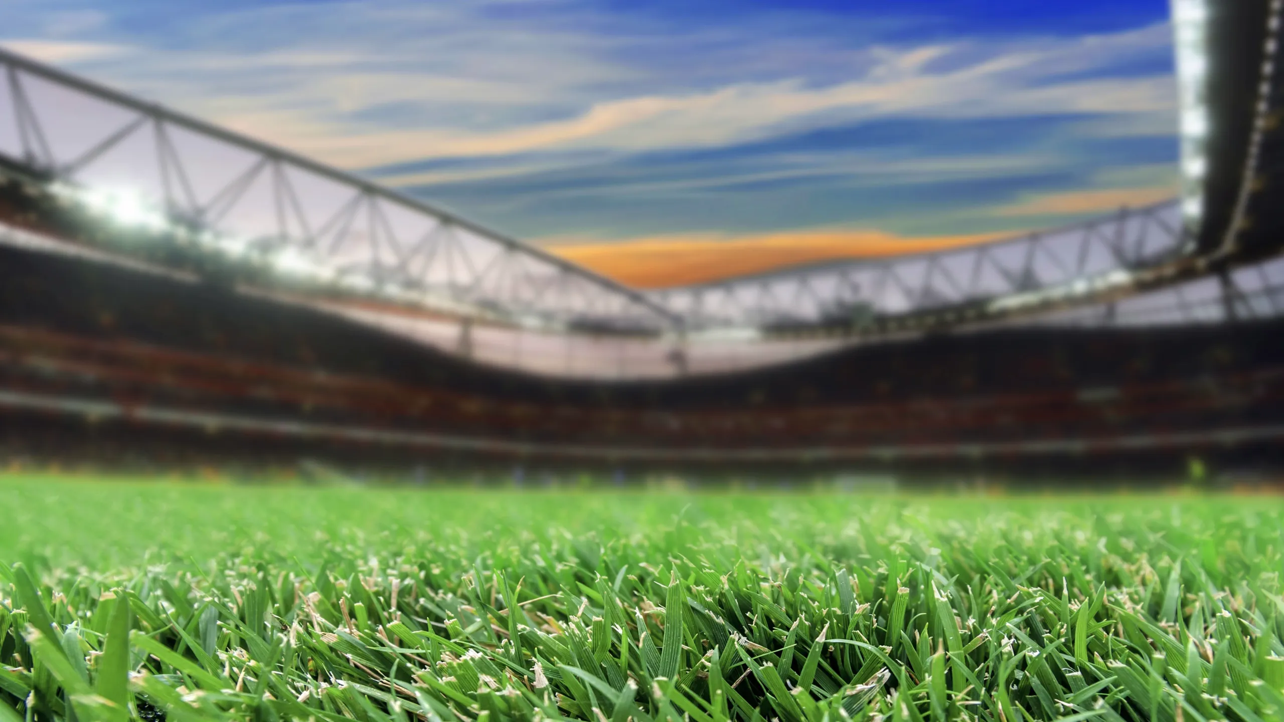 German Bundesliga