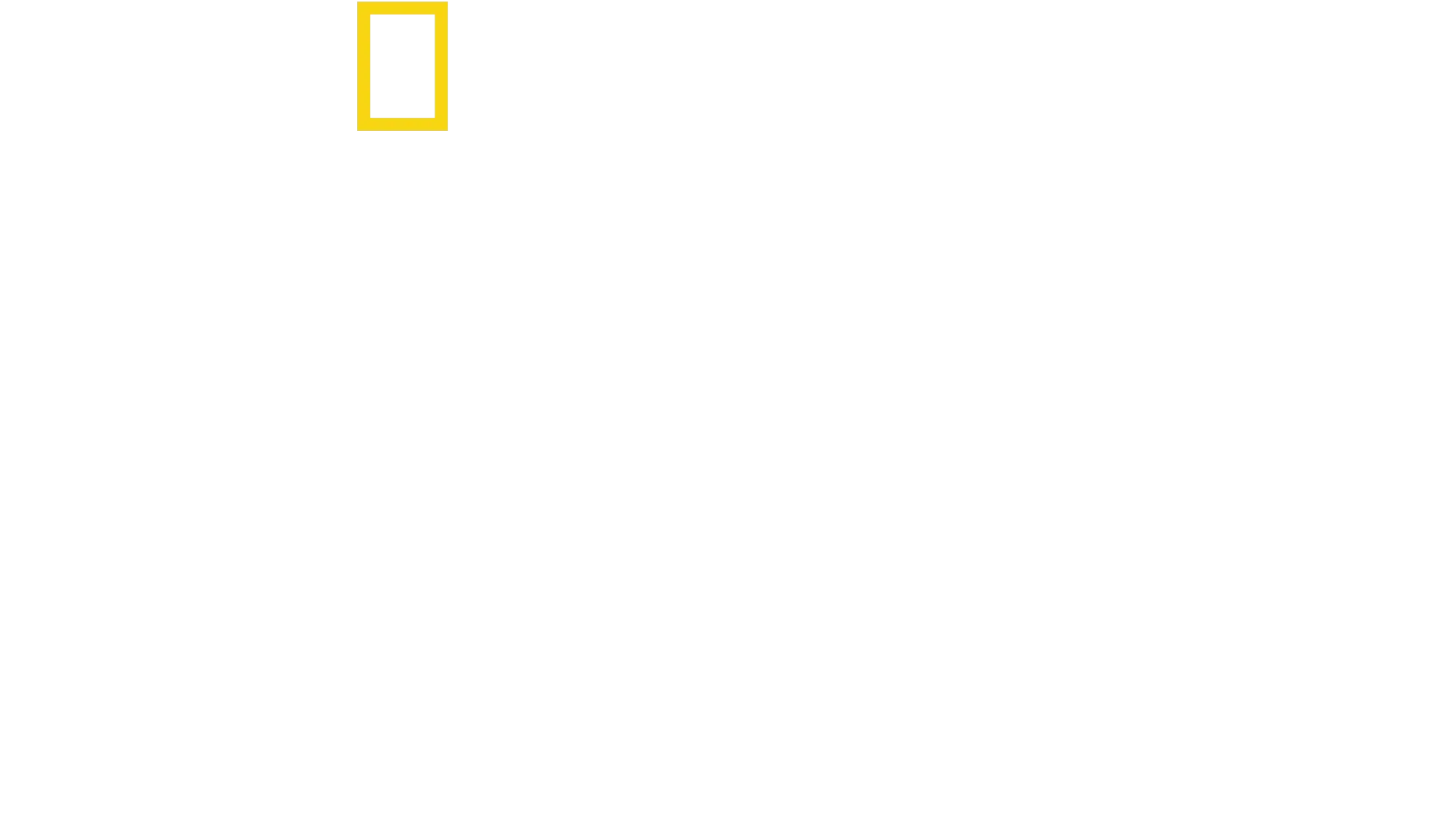 Pierduți în junglă