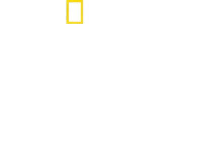 Pierduți în junglă