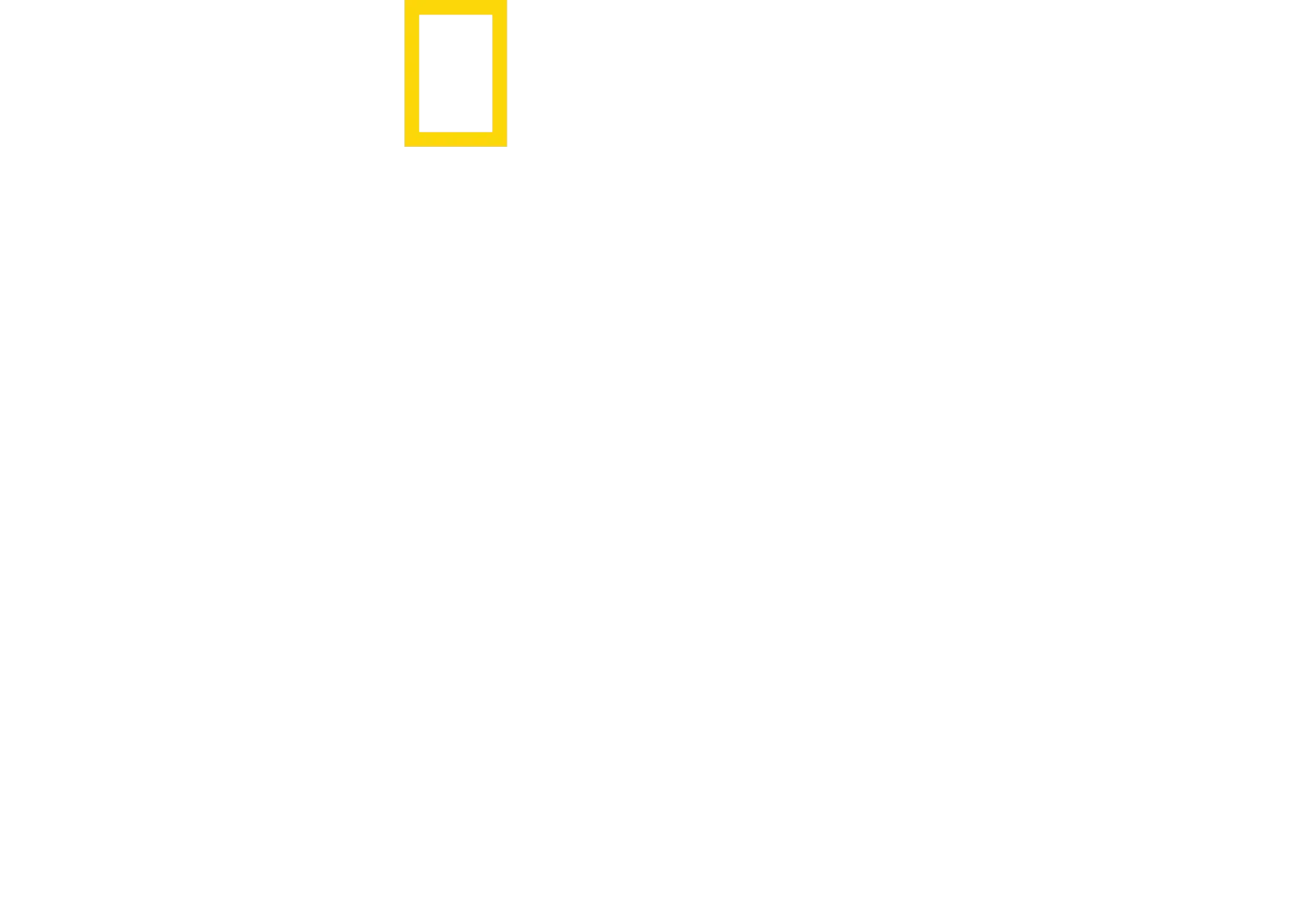 Pierduți în junglă