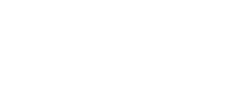 《美國的靈魂》呈獻：閃光人生