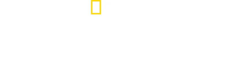 Az underground kórház