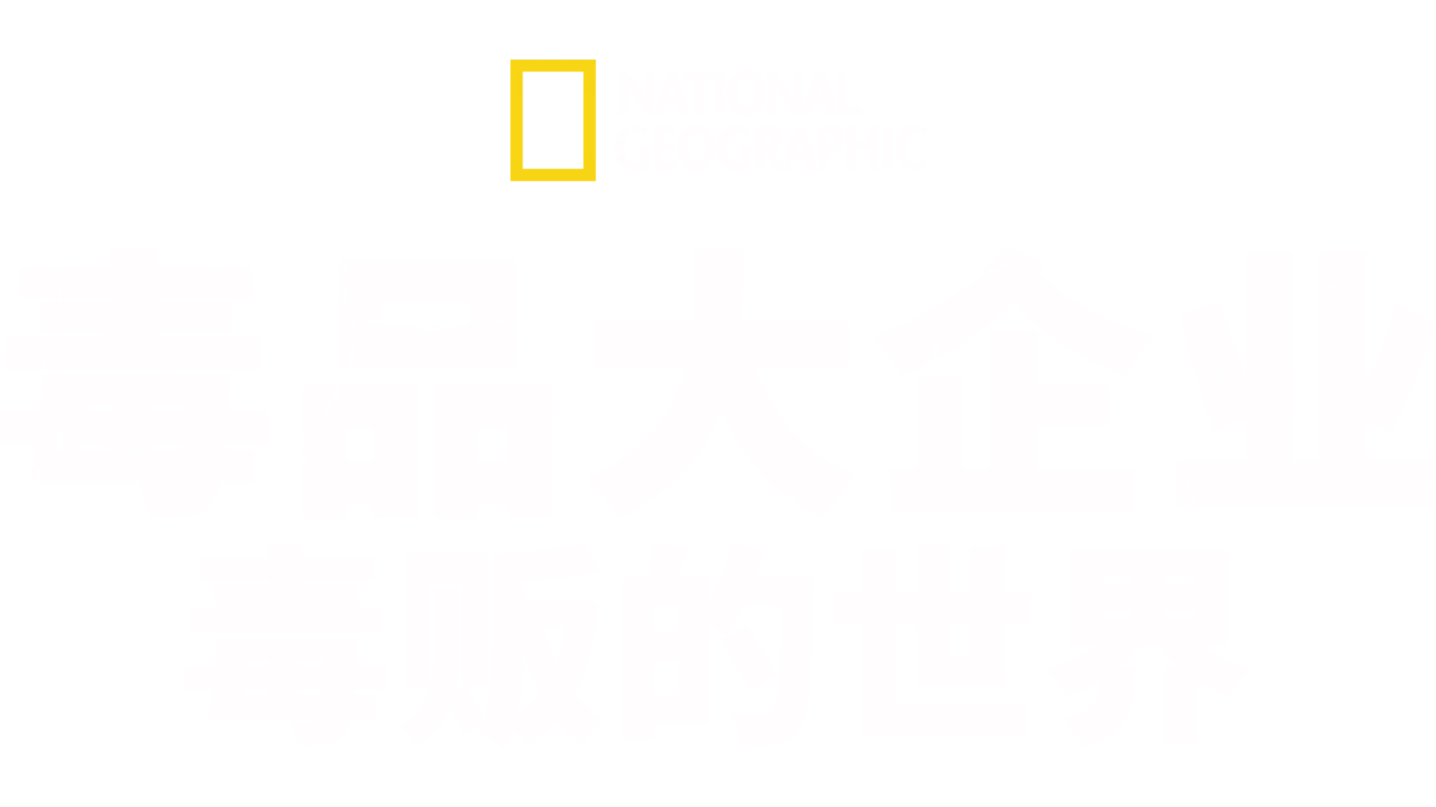 毒品大企业: 毒贩的世界