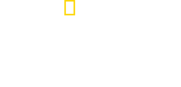 毒品大企业: 毒贩的世界
