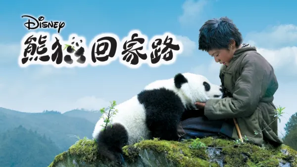 thumbnail - 熊猫回家路