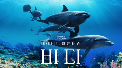 thumbnail - 데이비드 애튼버러: 바다