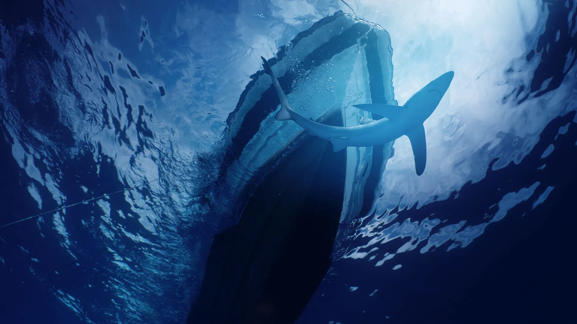A low-angle underwater shot looking up at the dark silhouette of a boat hull with a blue shark swimming directly beneath it against the bright, sunlit surface of the water.