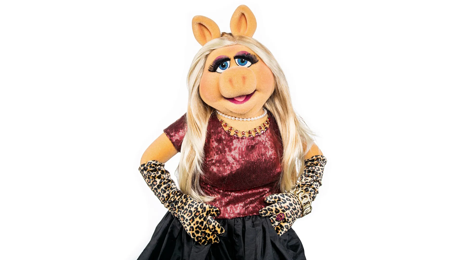Miss Piggy on a white background