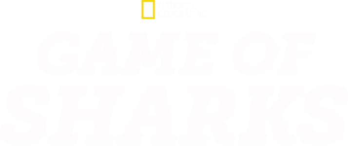 Game of Sharks