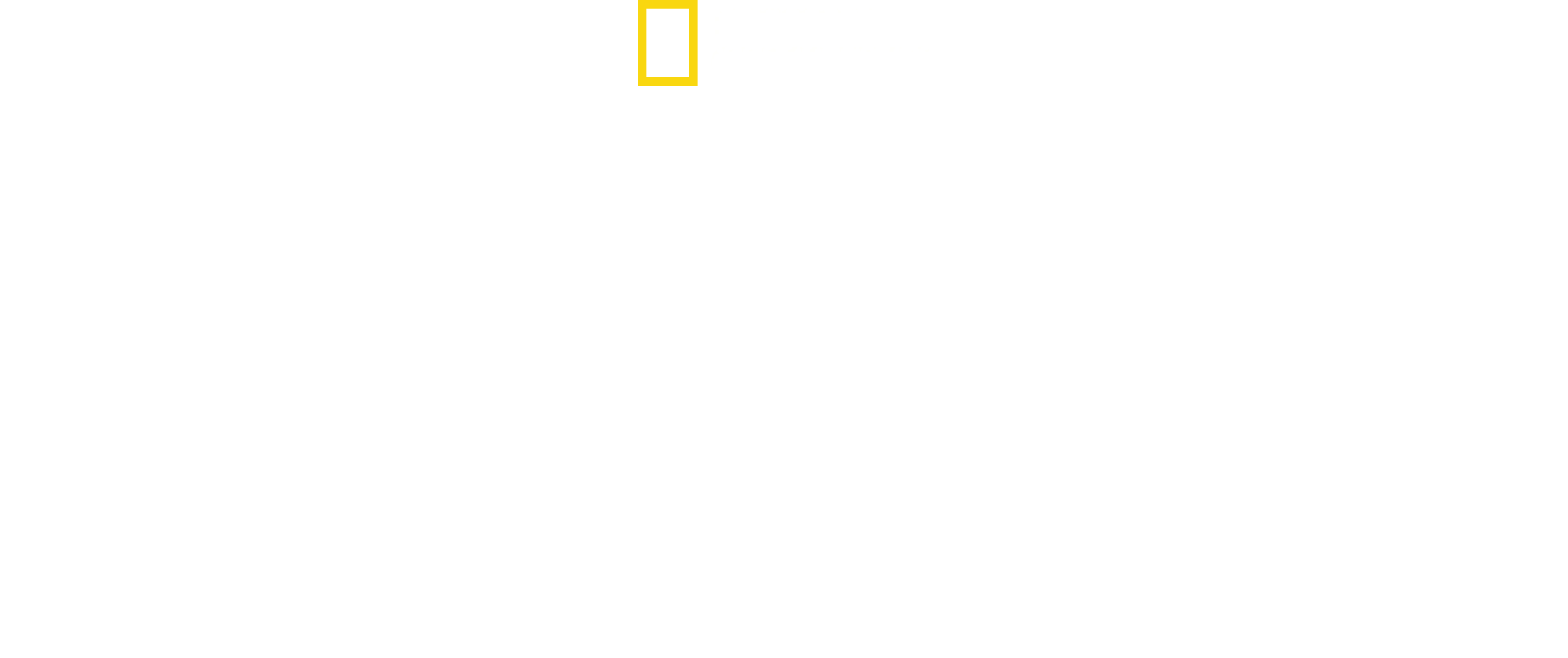 Game of Sharks