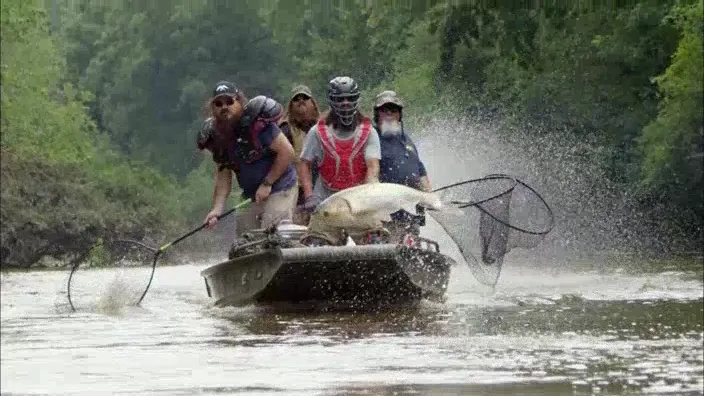 thumbnail - S11:E10 Carpnado