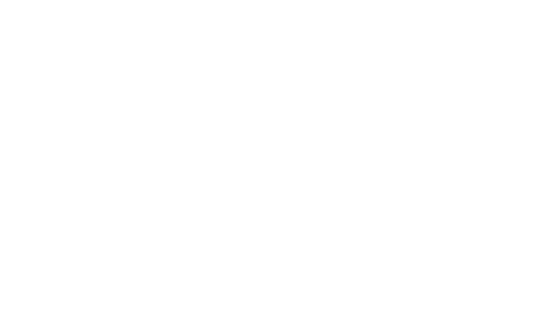 Chimpanzee