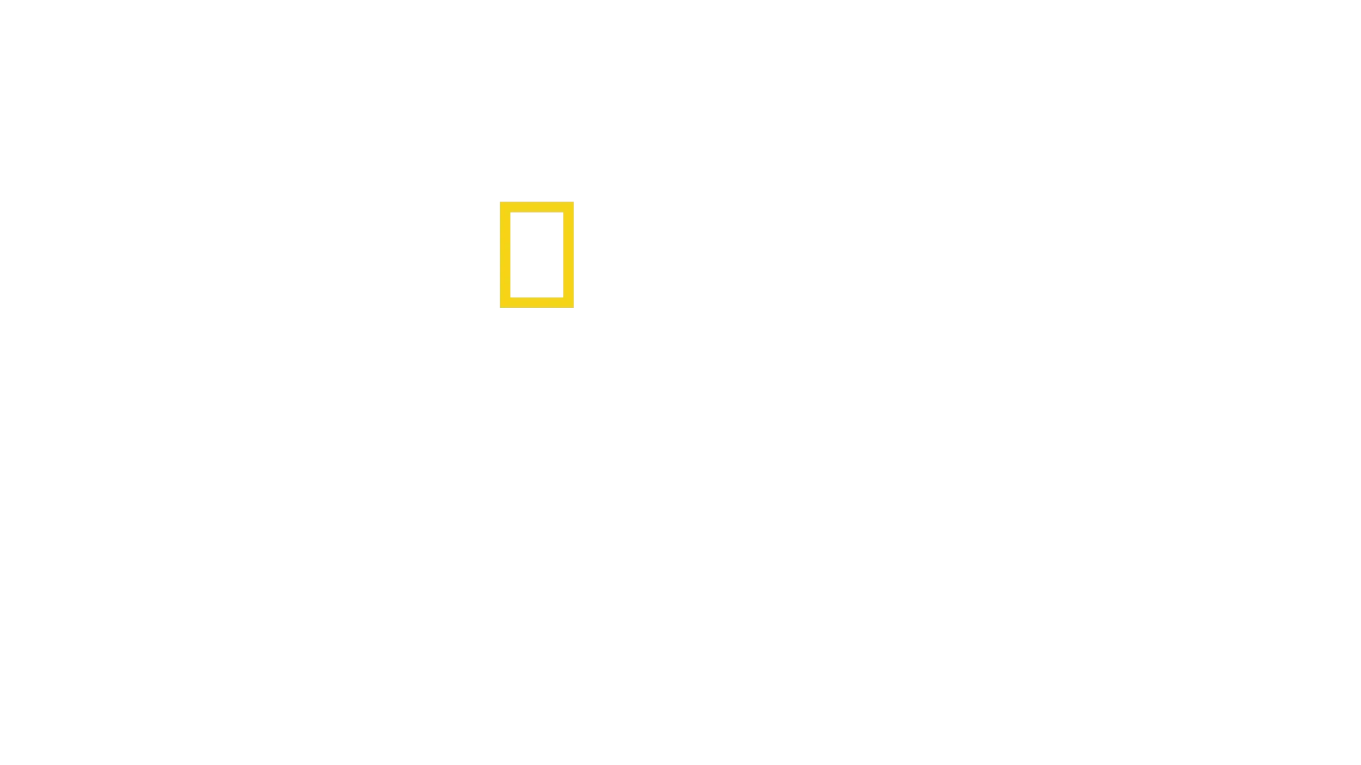 Cozinhas de Emergência