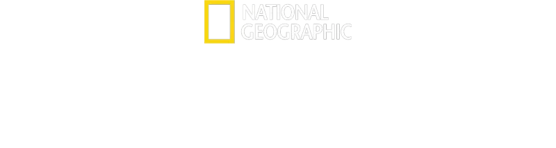 Cozinhas de Emergência