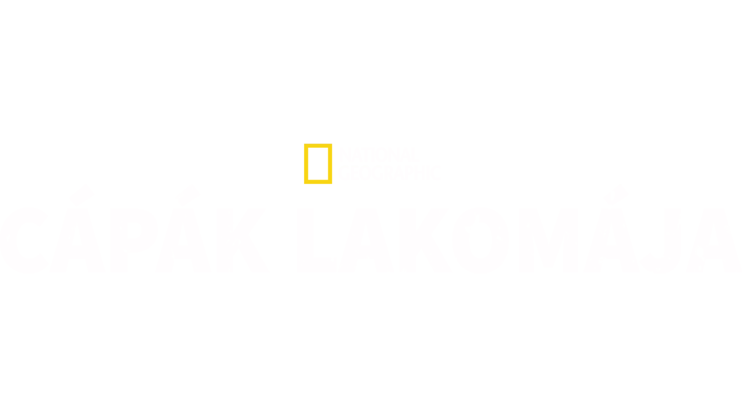 Cápák lakomája