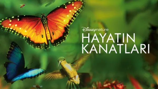 thumbnail - Hayatın Kanatları