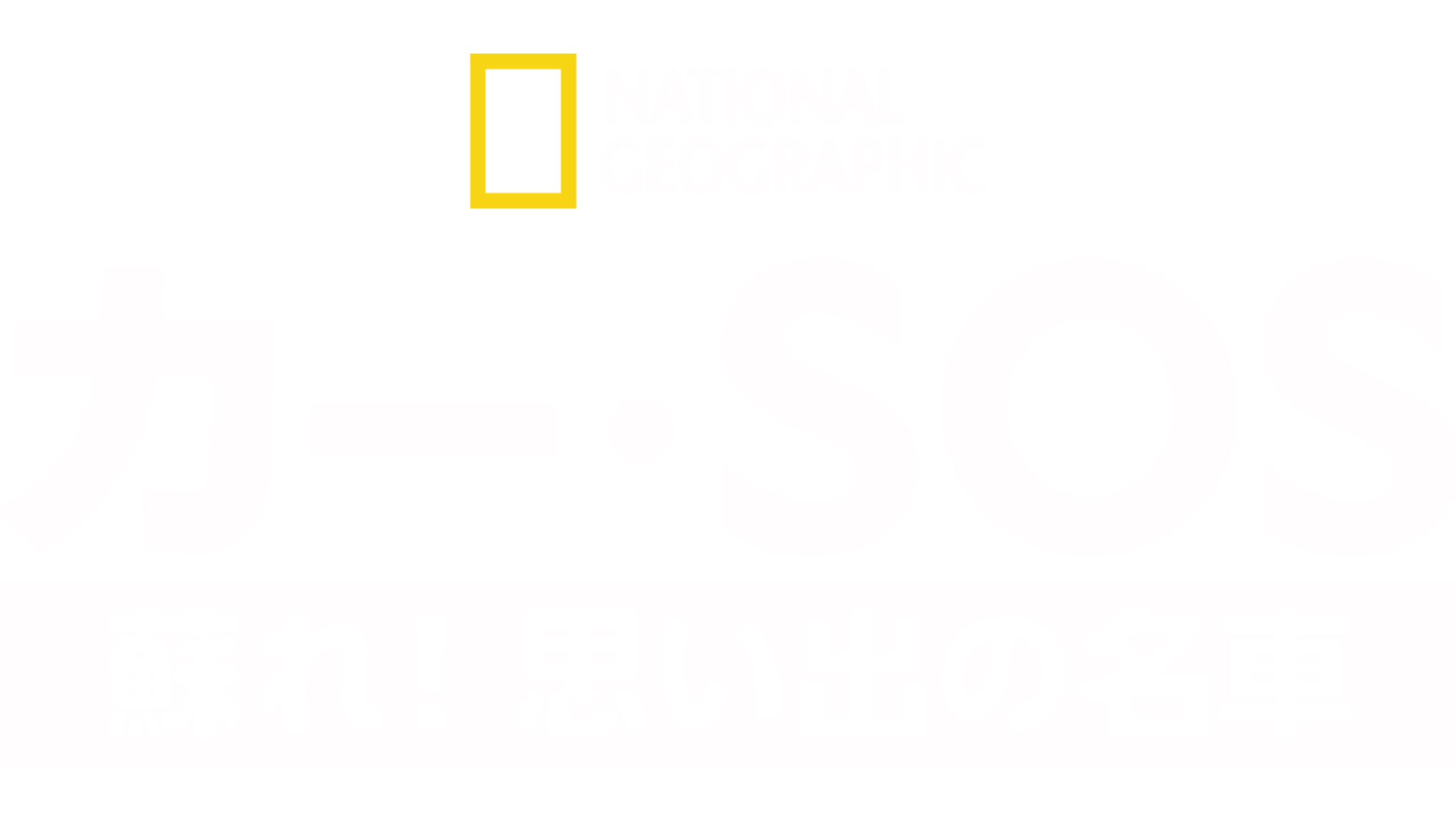 カー・SOS 蘇れ！思い出の名車