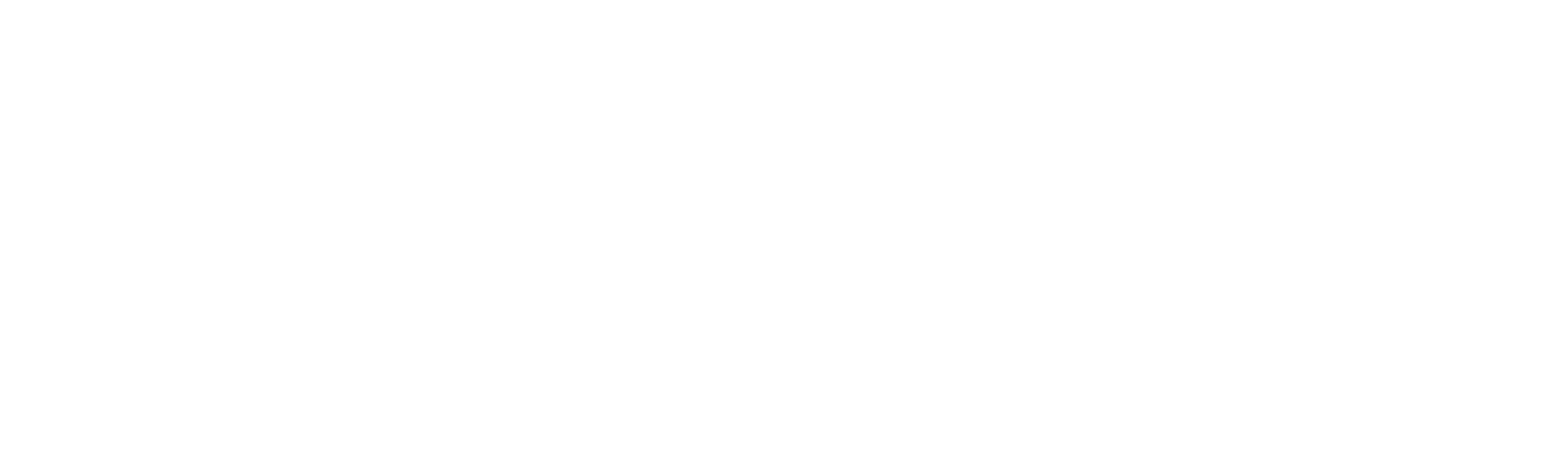 The Black Swindler (2022)