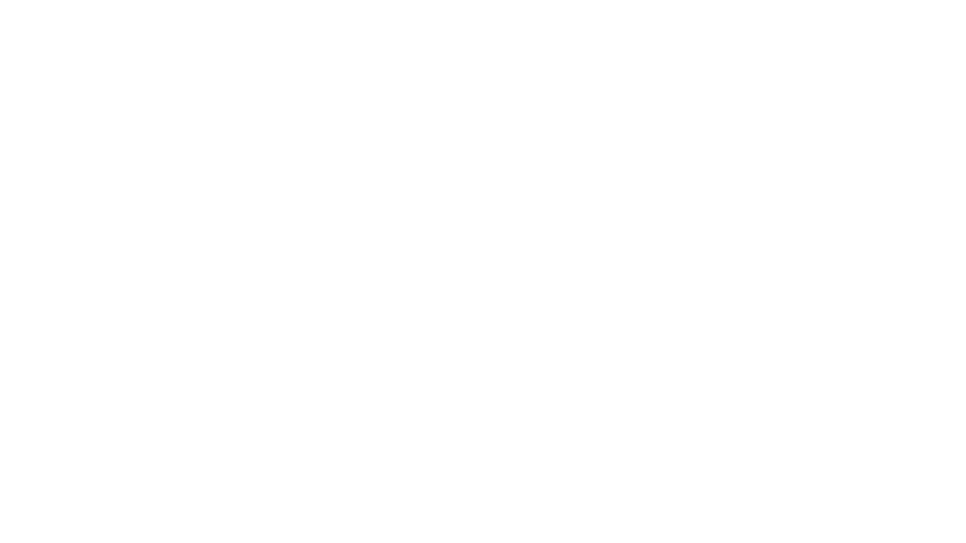 Puppy for Hanukkah