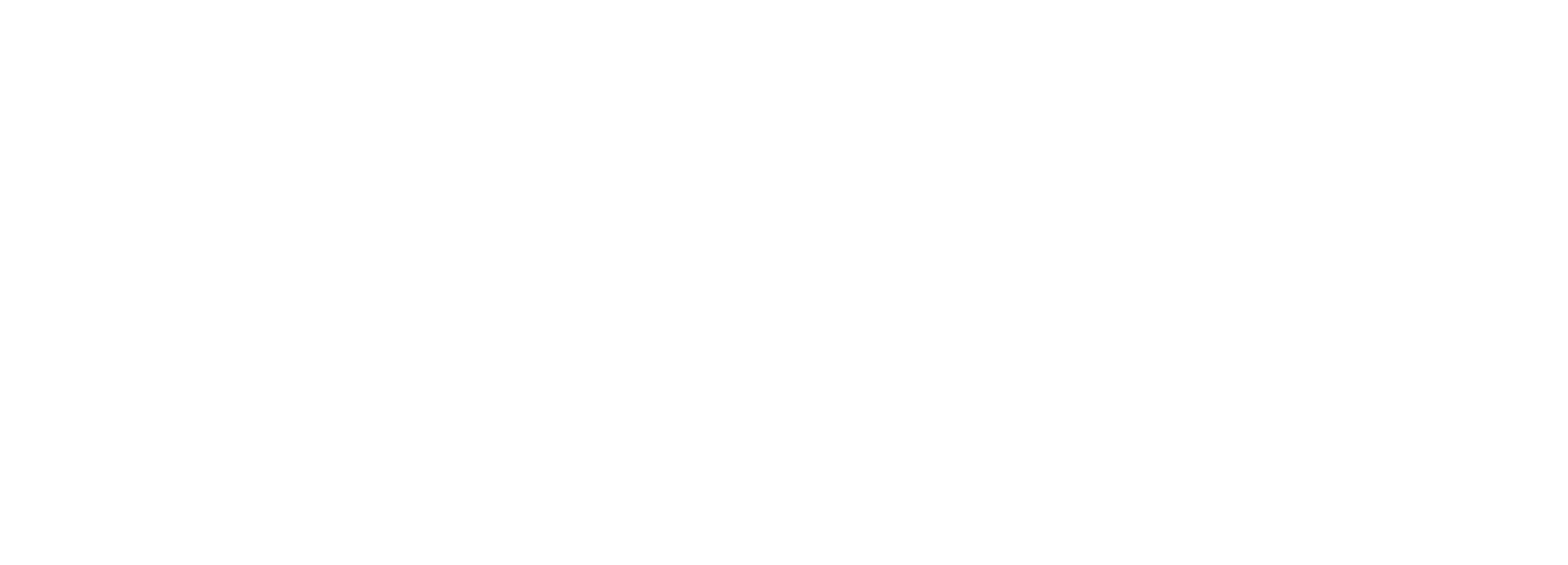 Puppy for Hanukkah