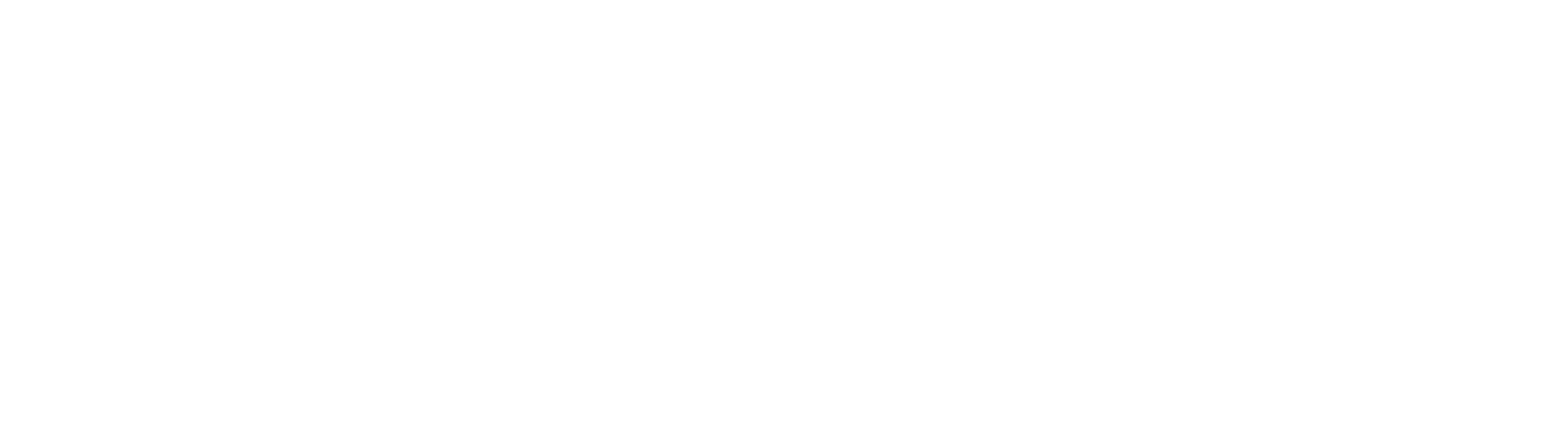The Speech