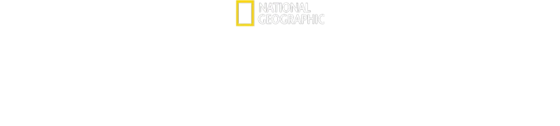 Hvalernes hemmeligheder