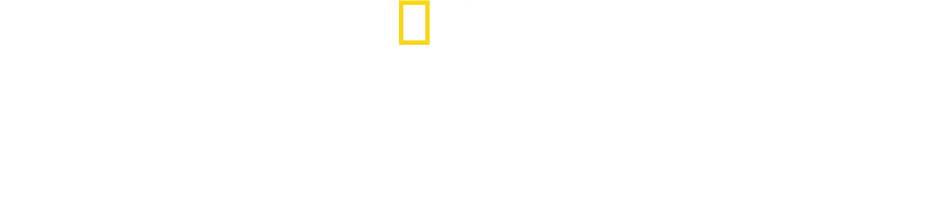 Hvalernes hemmeligheder