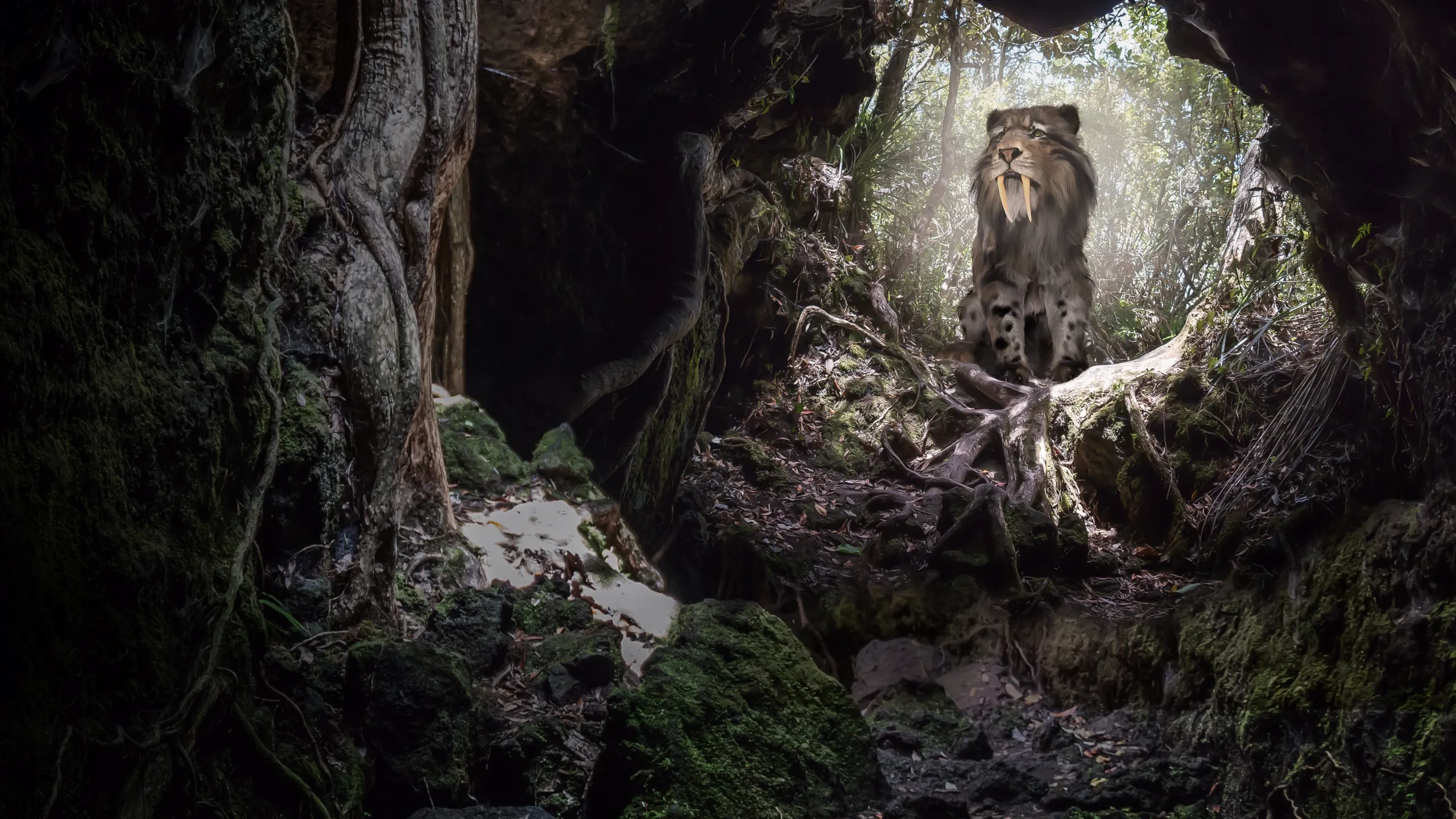 MonsterQuest: Feline Beasts