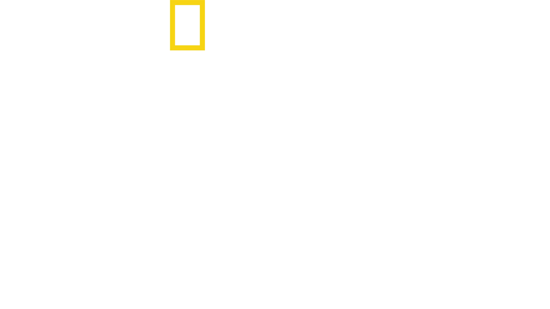 Dra. T: Clínica de Animais Exóticos