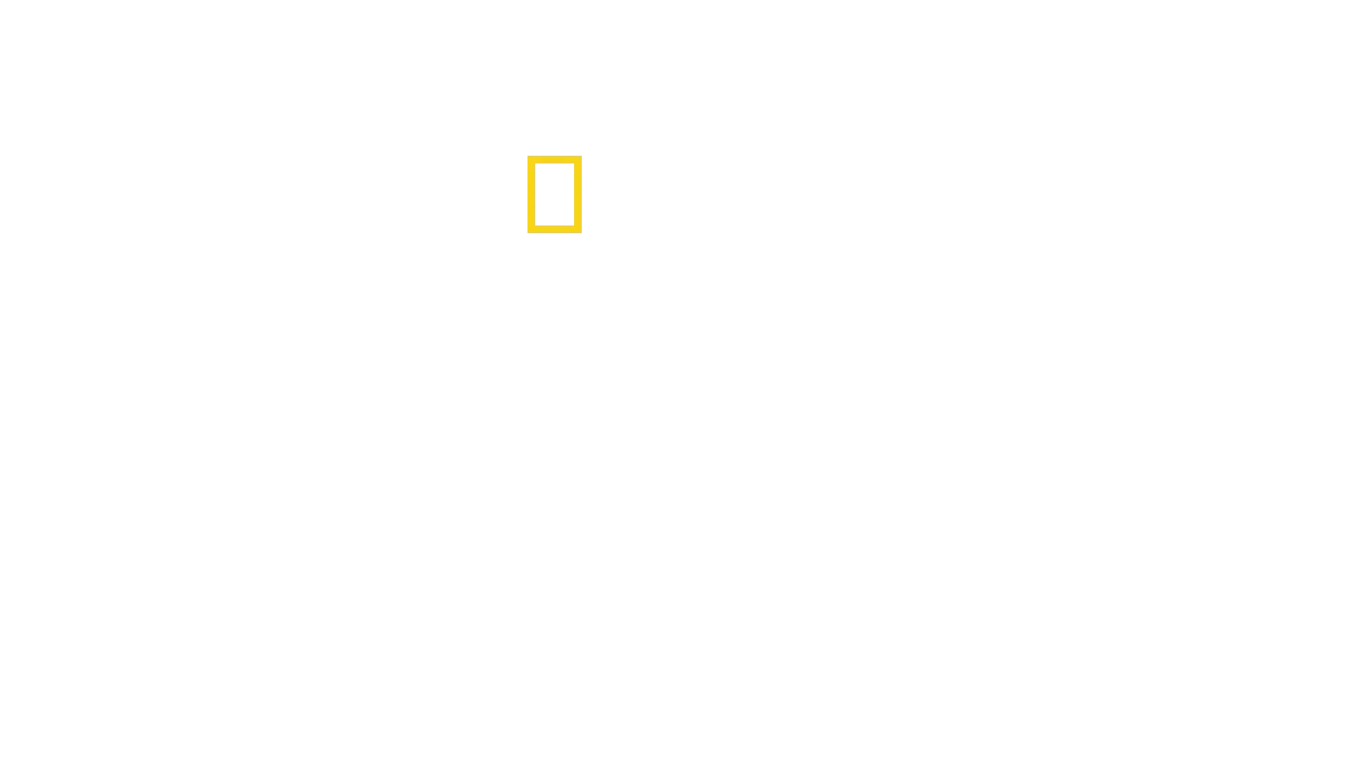 Doctora K: animales exóticos