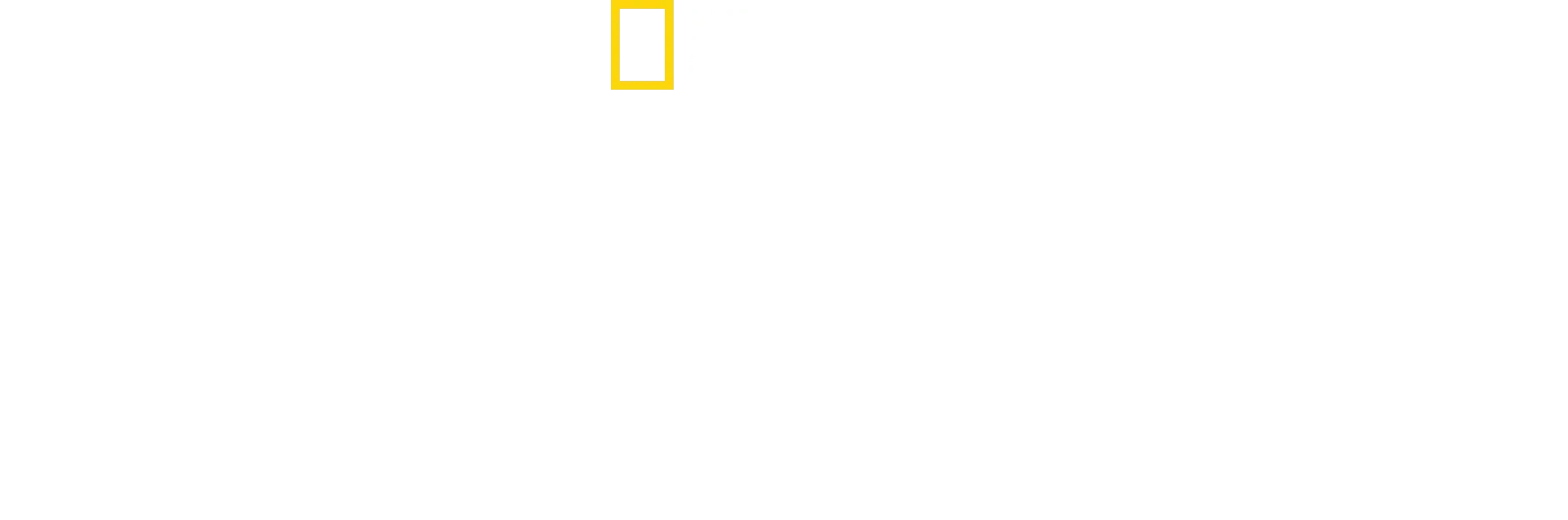 Doctora K: animales exóticos