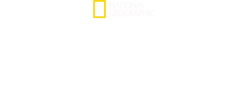 Becoming Cousteau
