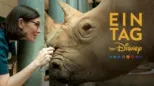 thumbnail - Ein Tag bei Disney