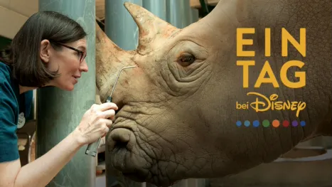 thumbnail - Ein Tag bei Disney