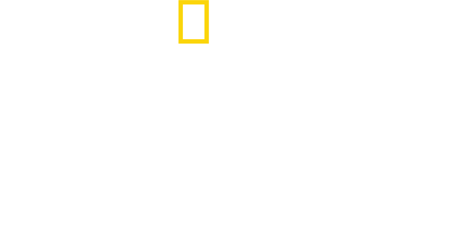 우리 침팬지를 소개합니다