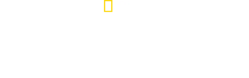 Arctic Ascent with Alex Honnold