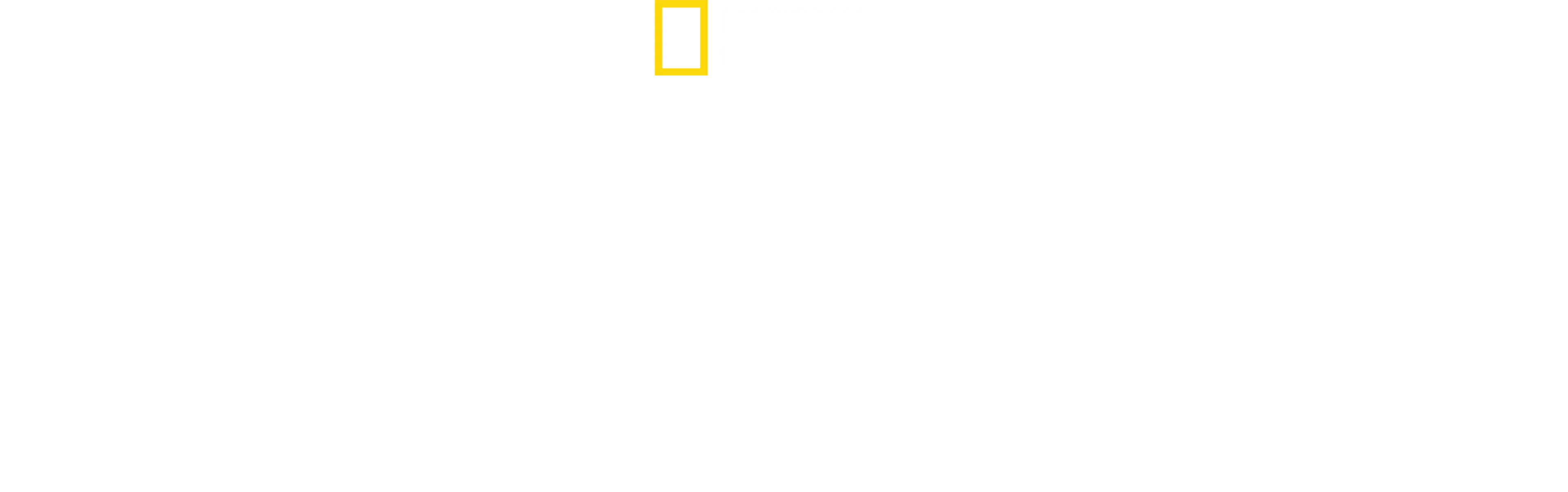 Arctic Ascent with Alex Honnold