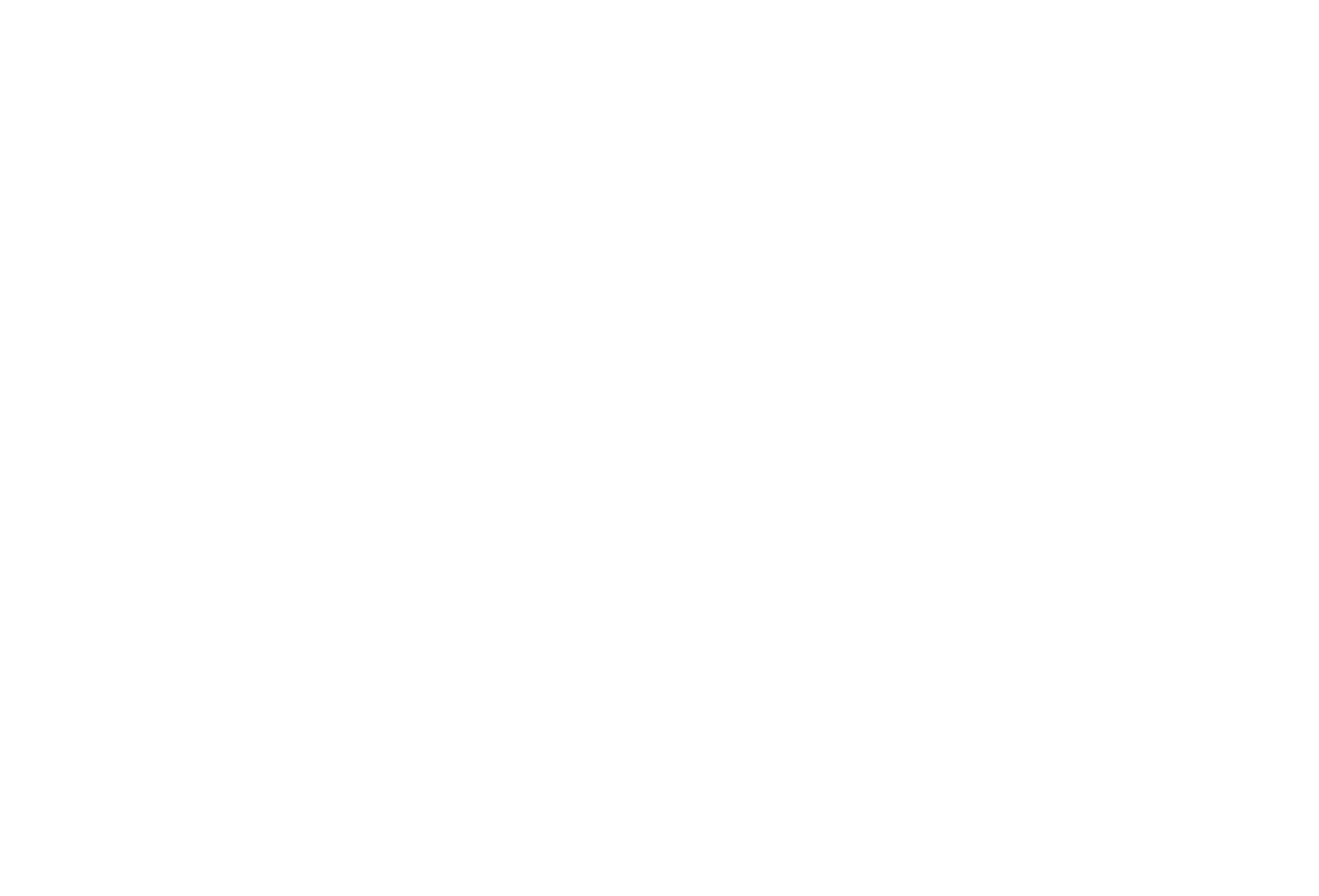 梅艳芳（导演版）