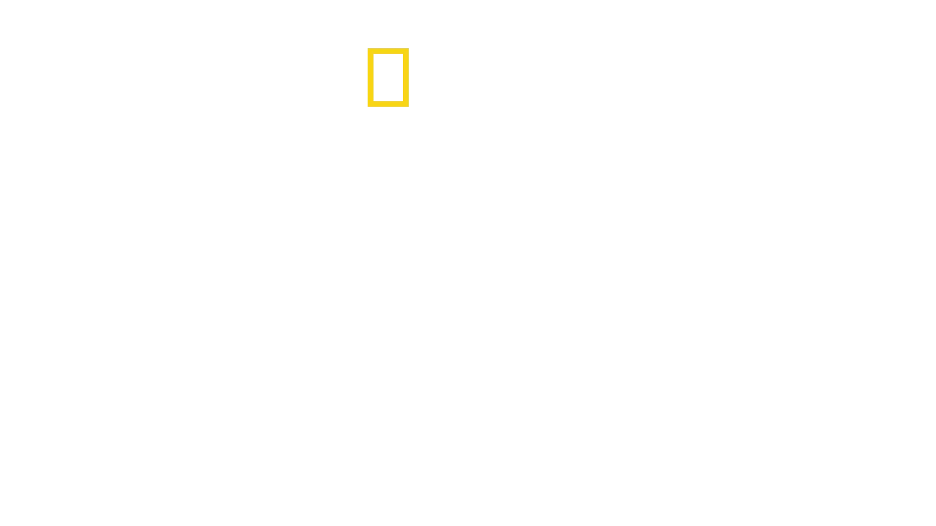 Expédition Amazonie