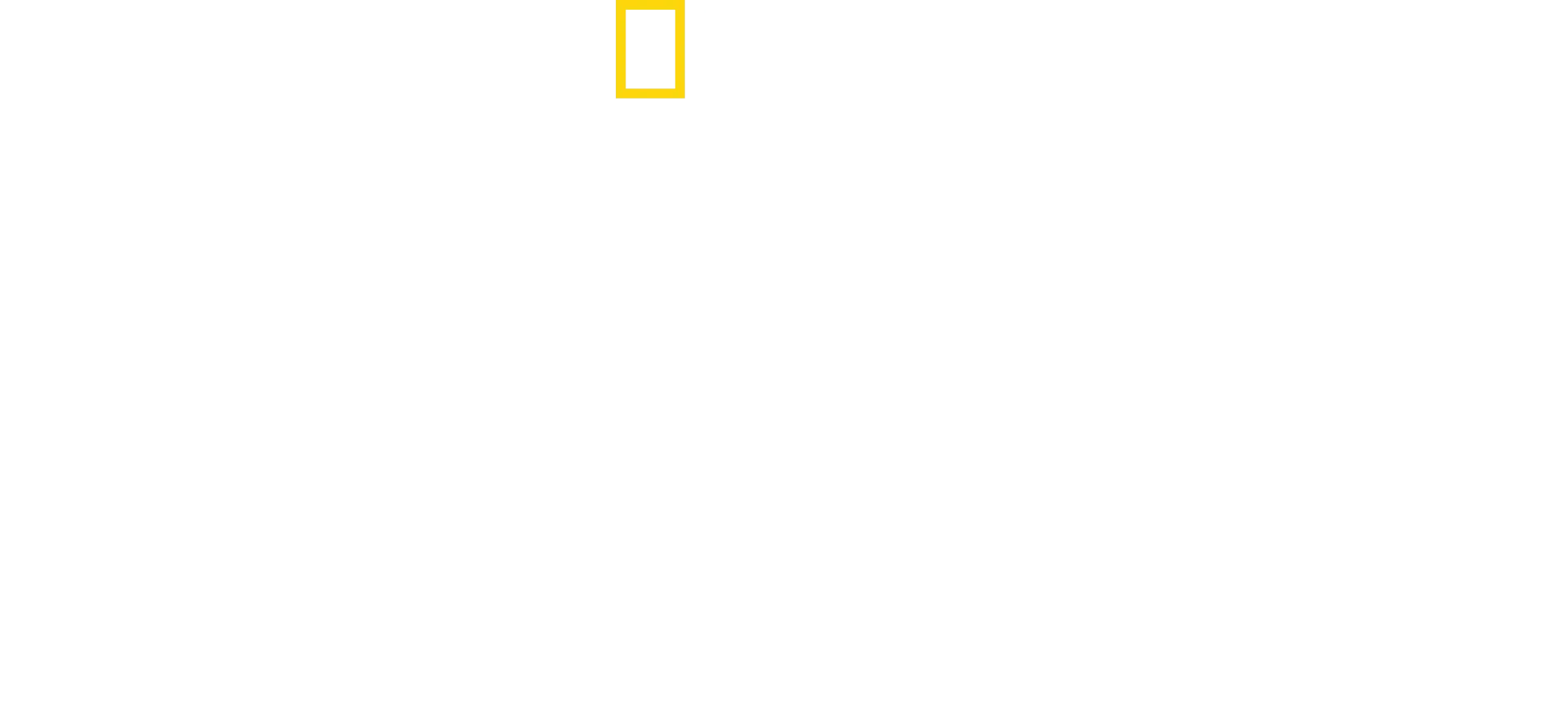 Expédition Amazonie