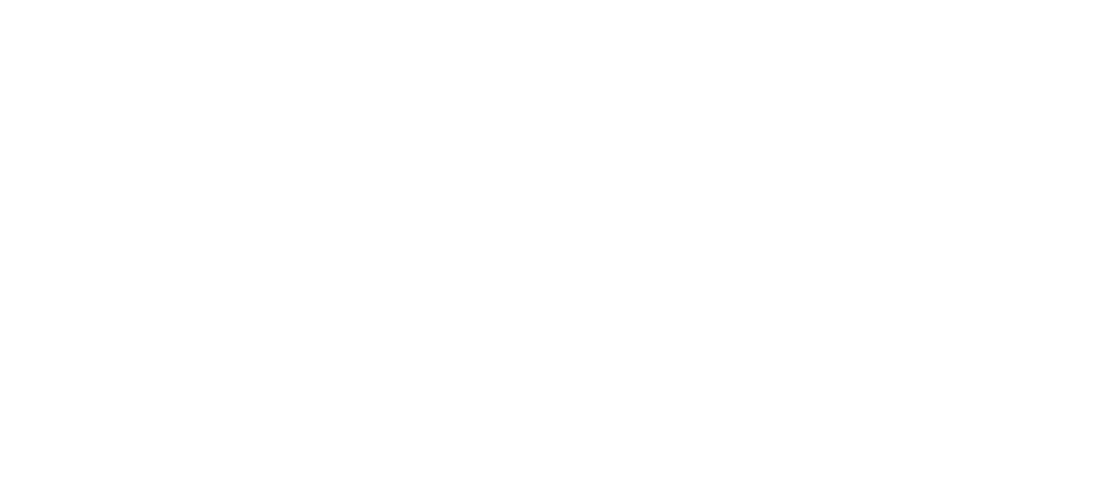 Influencer de Mentira