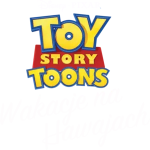 Wakacje na Hawajach