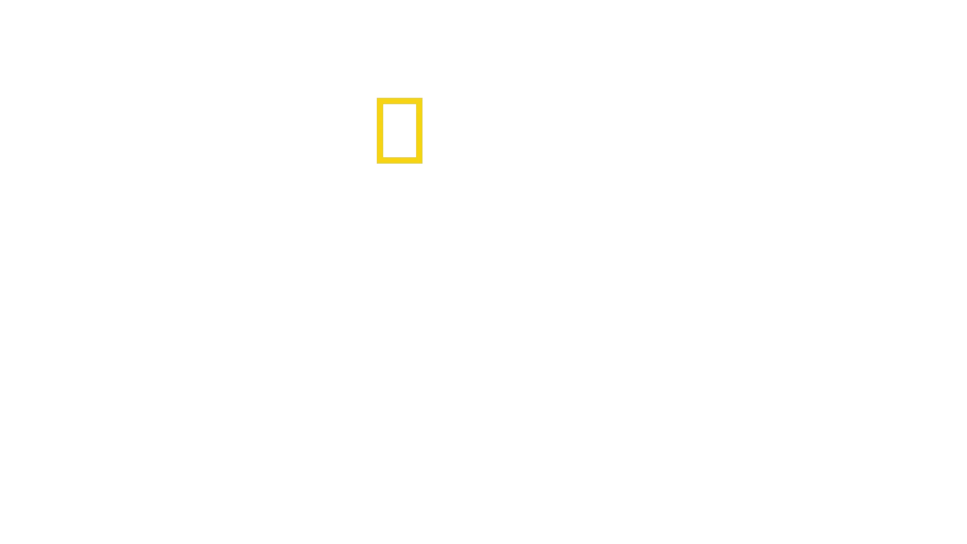 Origini: L'Odissea dell'Umanità