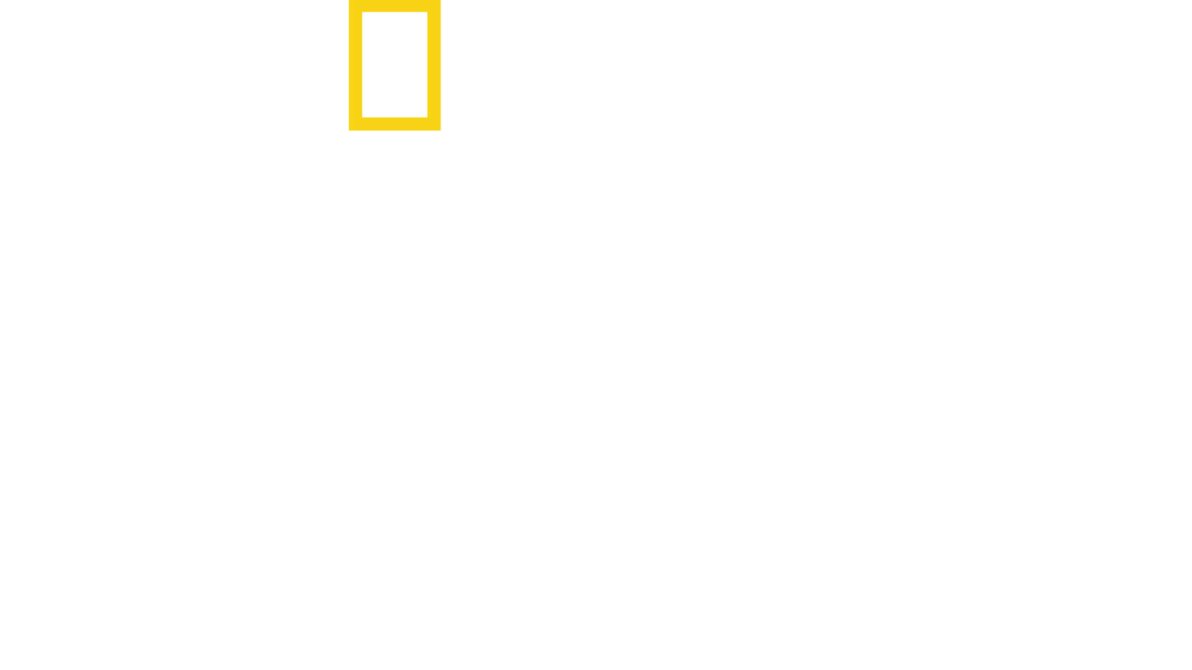 Tiburones Caníbales