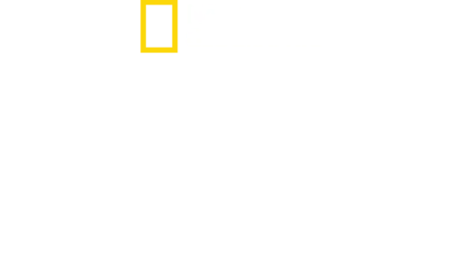 Tiburones Caníbales