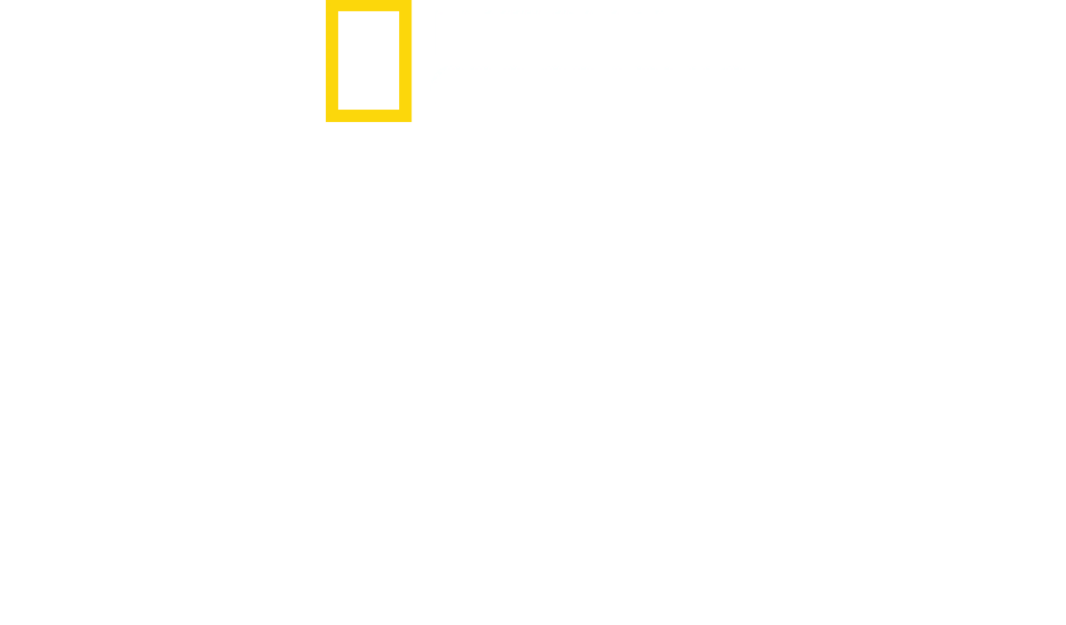 Tiburones Caníbales