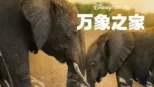 thumbnail - 万象之家