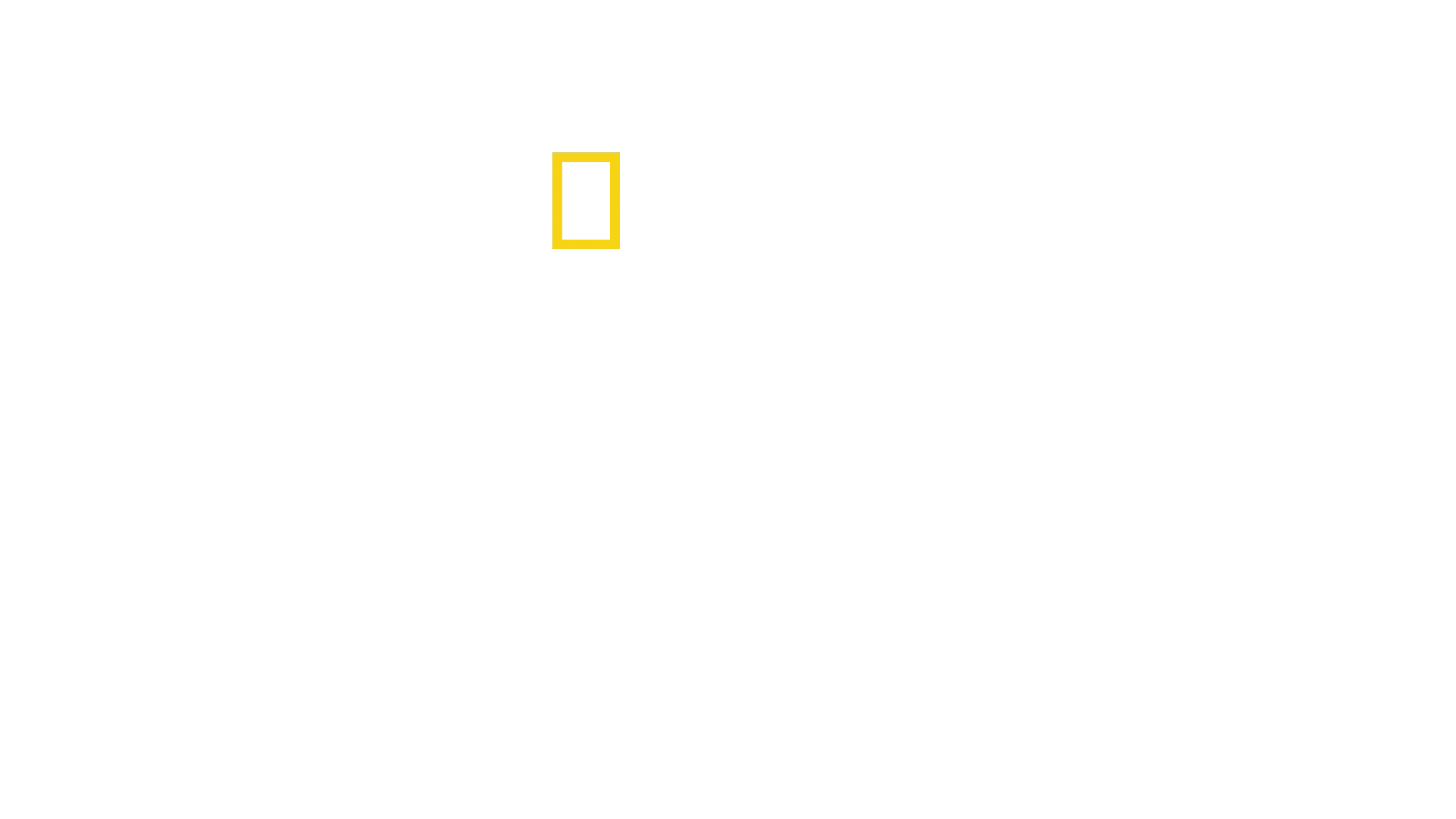 Hitlers rusmisbruk