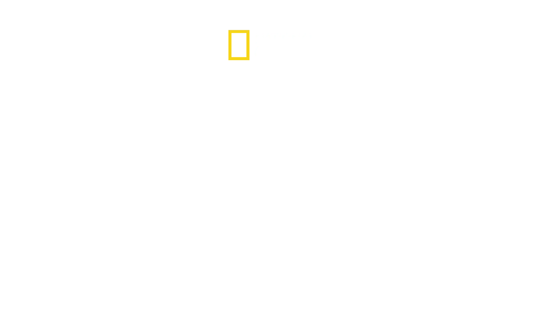 Etelä-Amerikan oudoimmat eläimet