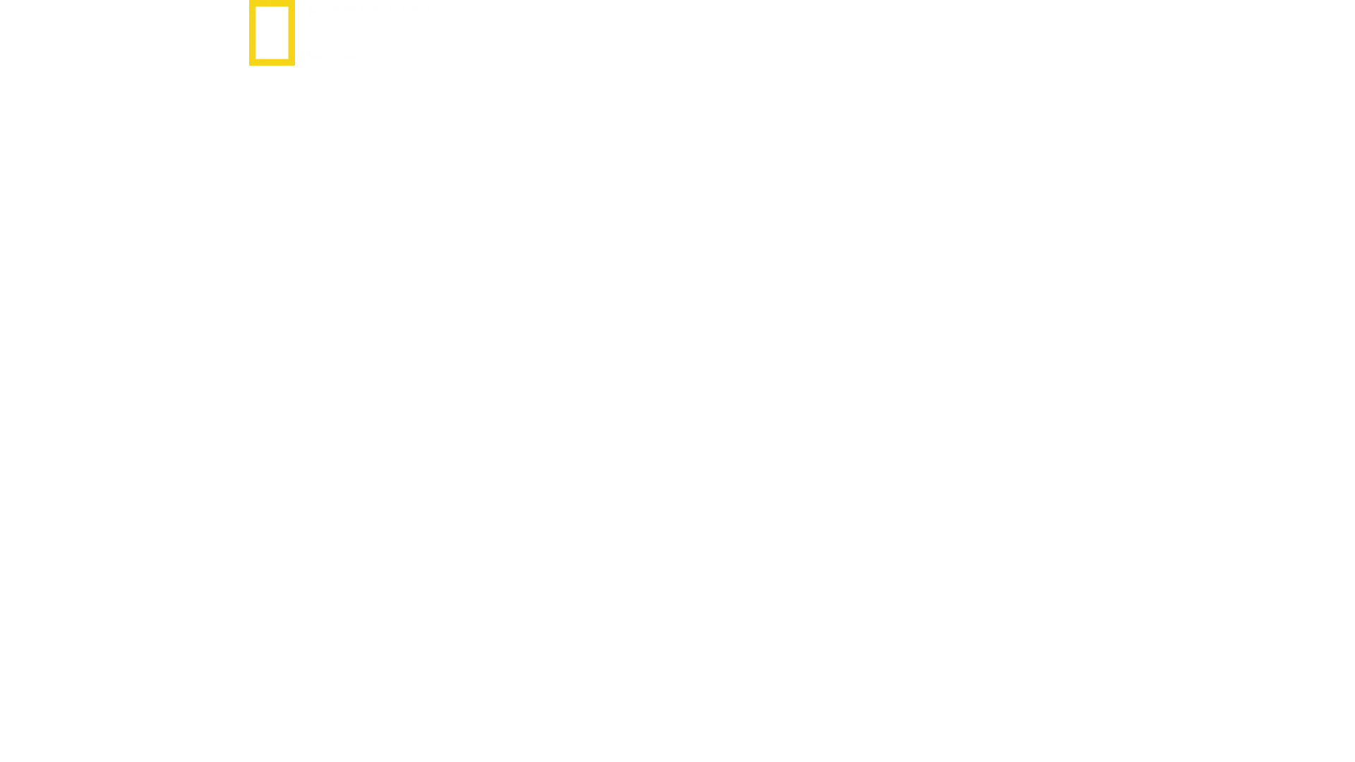SS: Le squadre della morte